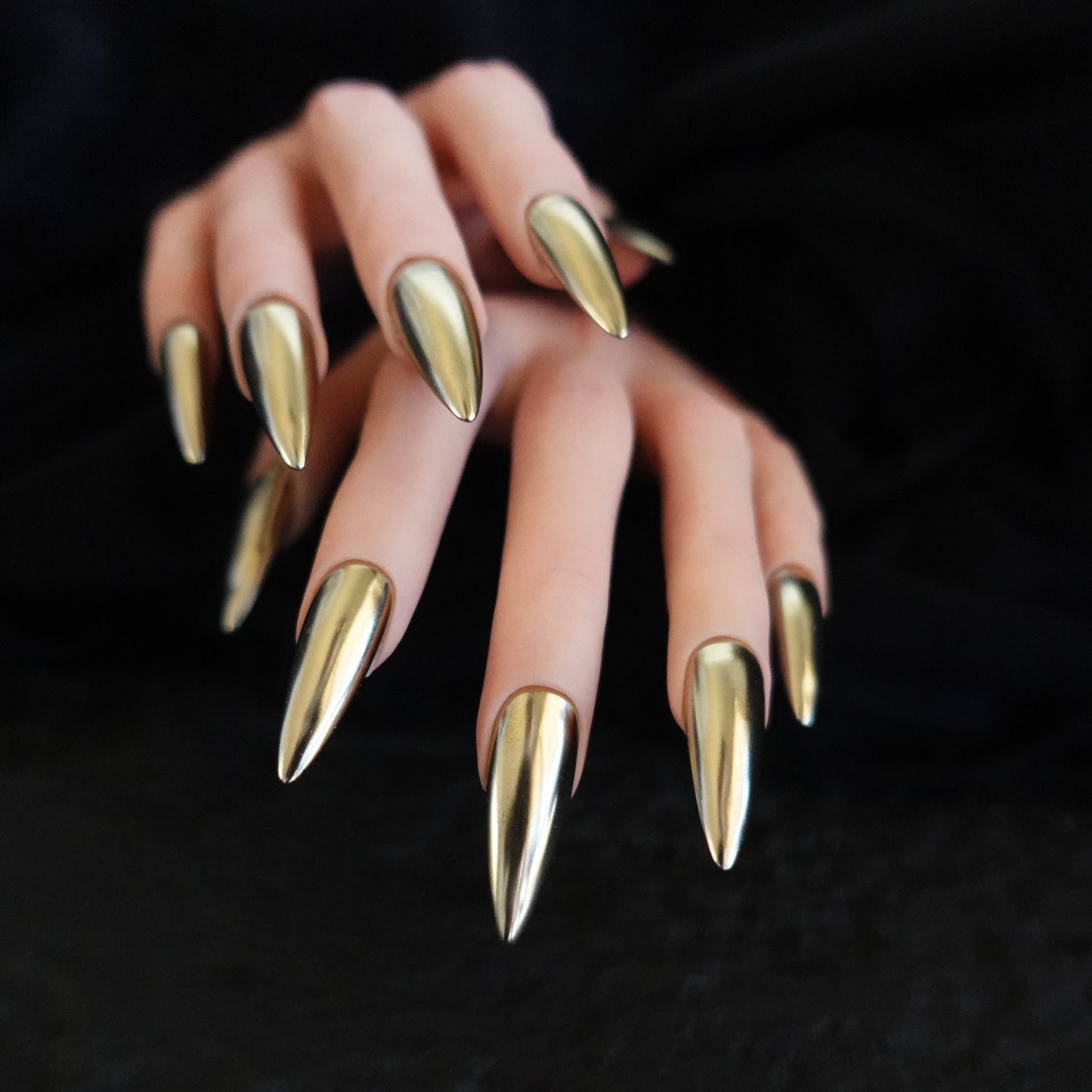 🐍 Gilded Venom  2507246