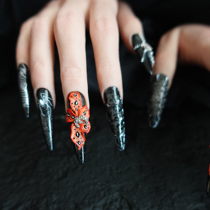 🕷️ Widow’s Web  2509113