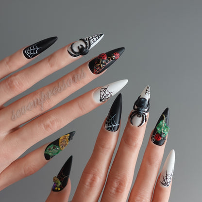 🌑 Widow’s Web  2510151