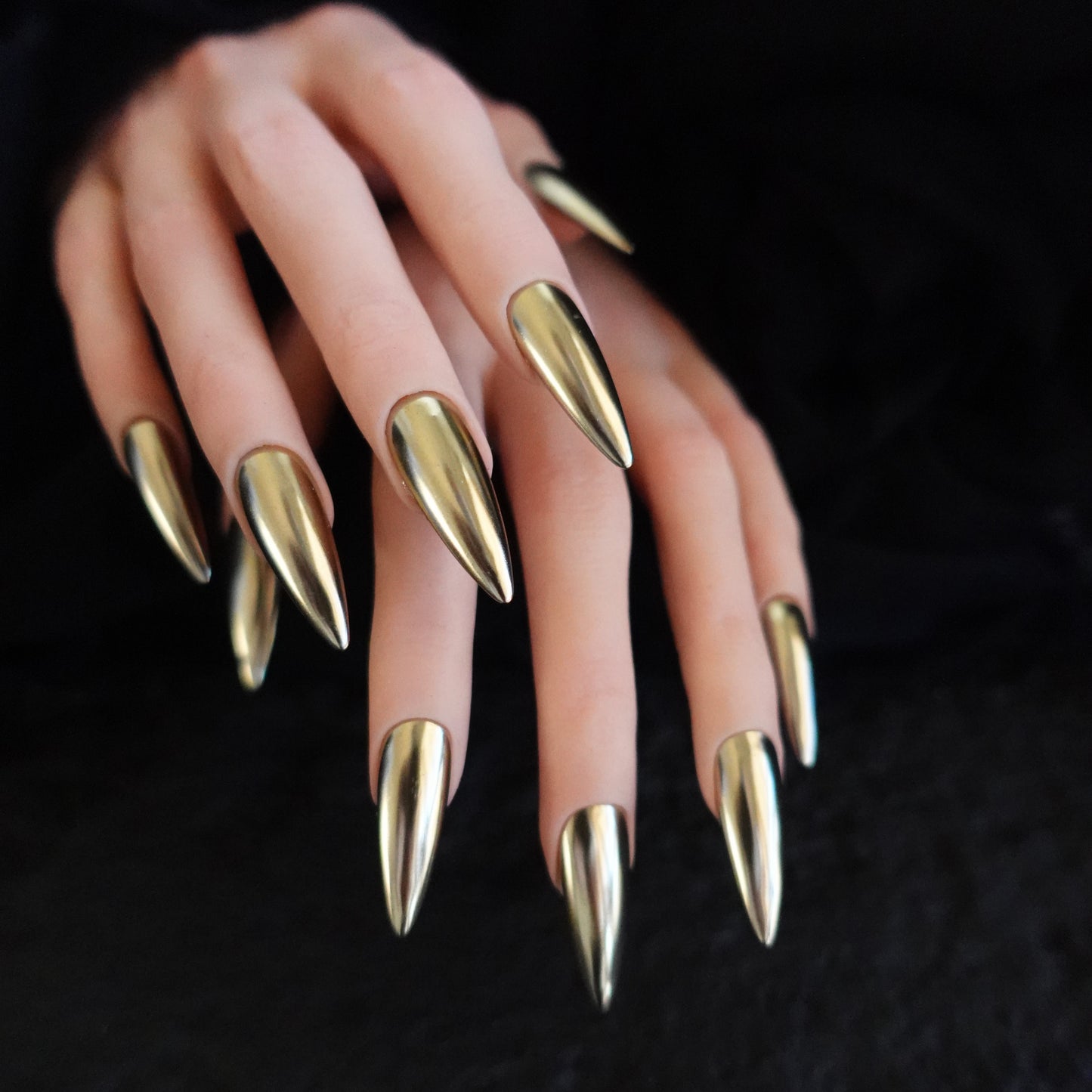 🐍 Gilded Venom  2507246