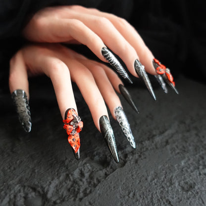 🕷️ Widow’s Web  2509113