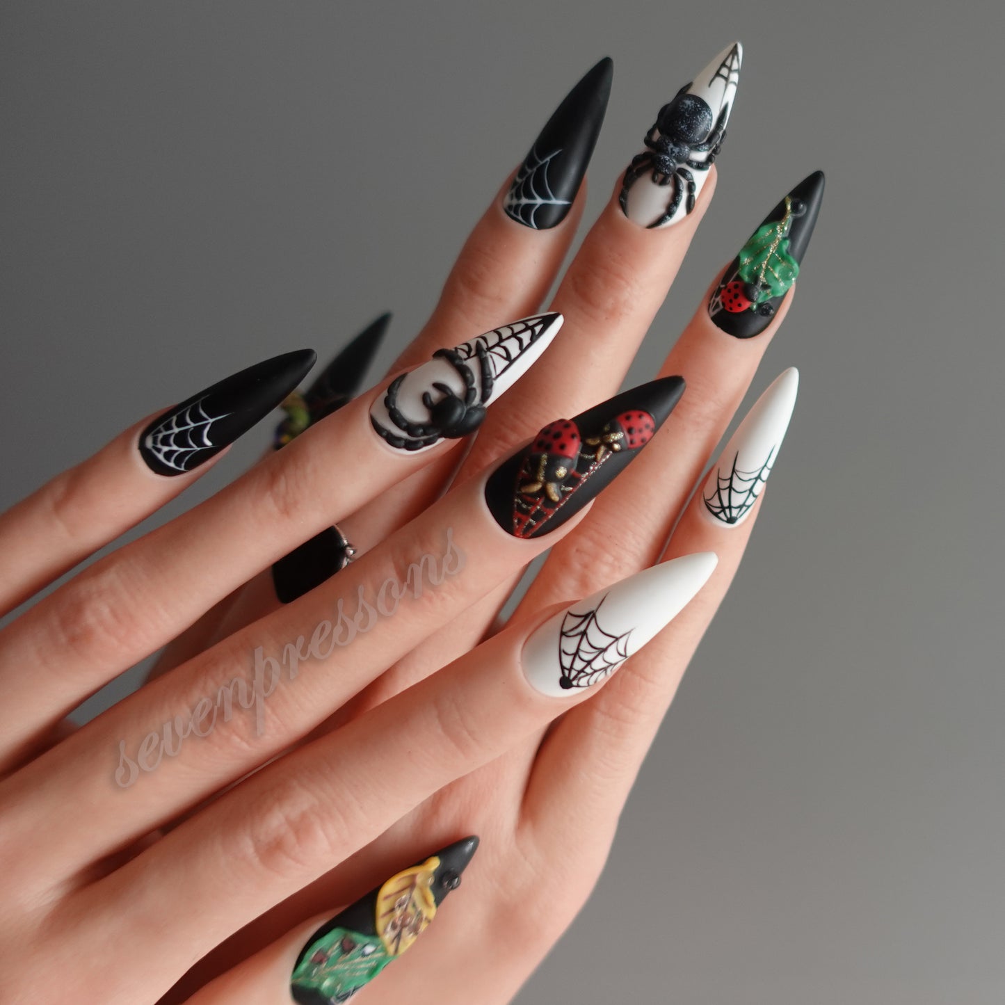 🌑 Widow’s Web  2510151