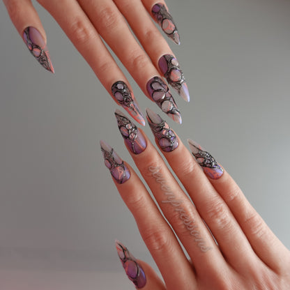 🕷️ Widow’s Web  2510248