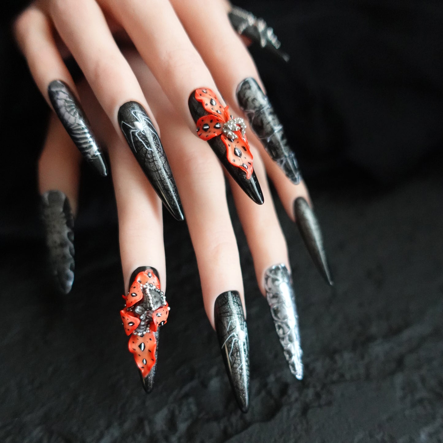 🕷️ Widow’s Web  2509113