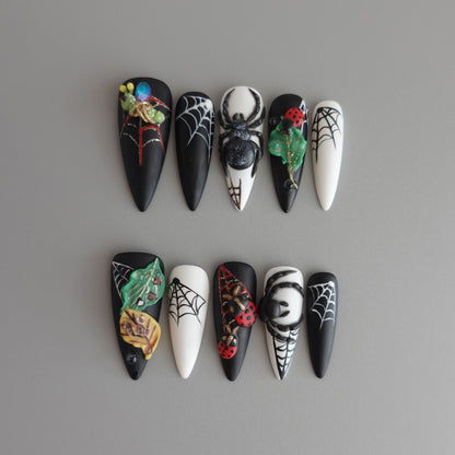 🌑 Widow’s Web  2510151