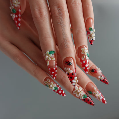 🌼 Ladybug Picnic — Press-On Nail Set  2510237