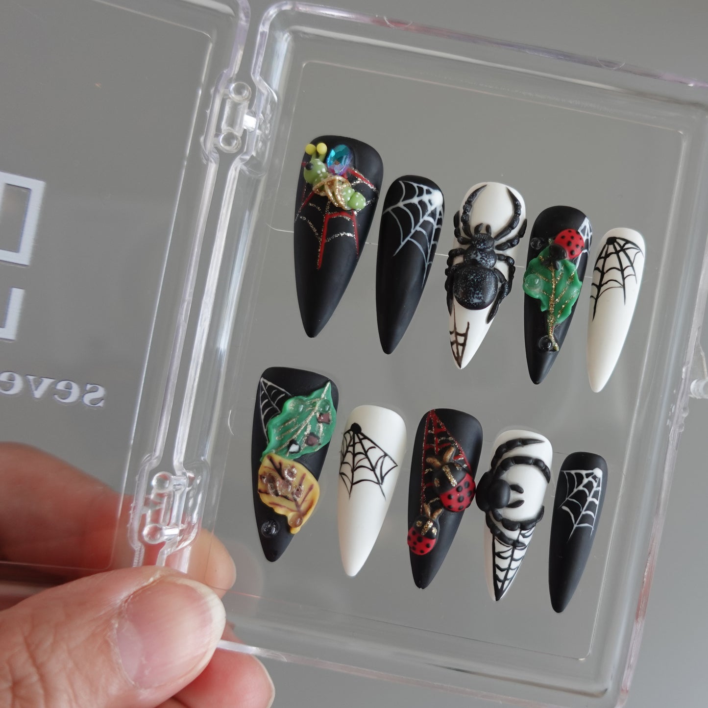 🌑 Widow’s Web  2510151