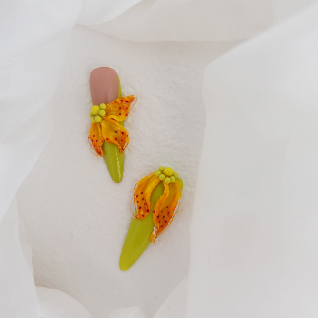 Jungle Carnival 2504123