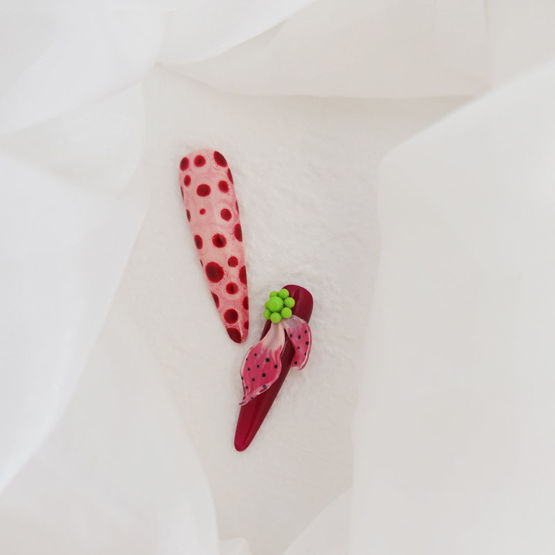 Jungle Carnival 2504123