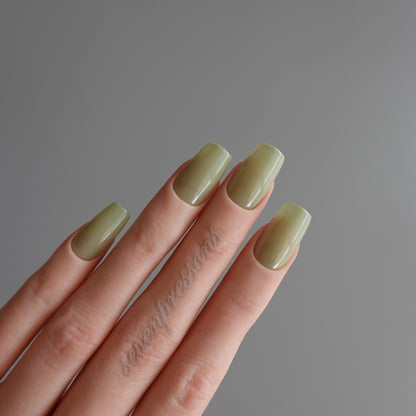 🌈 Chromatic Symphony — Sage Silk  2511905