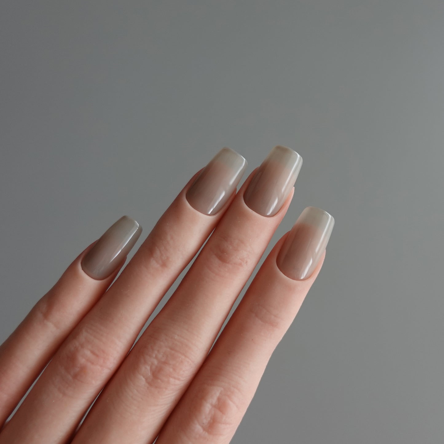 🌈 Chromatic Symphony — Mushroom Veil  2511907