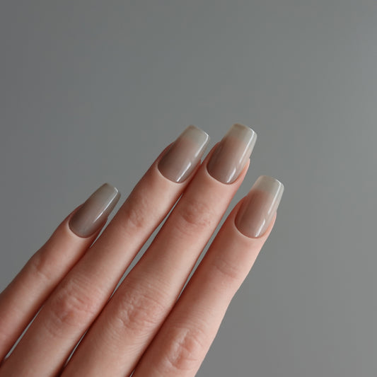 🌈 Chromatic Symphony — Mushroom Veil  2511907