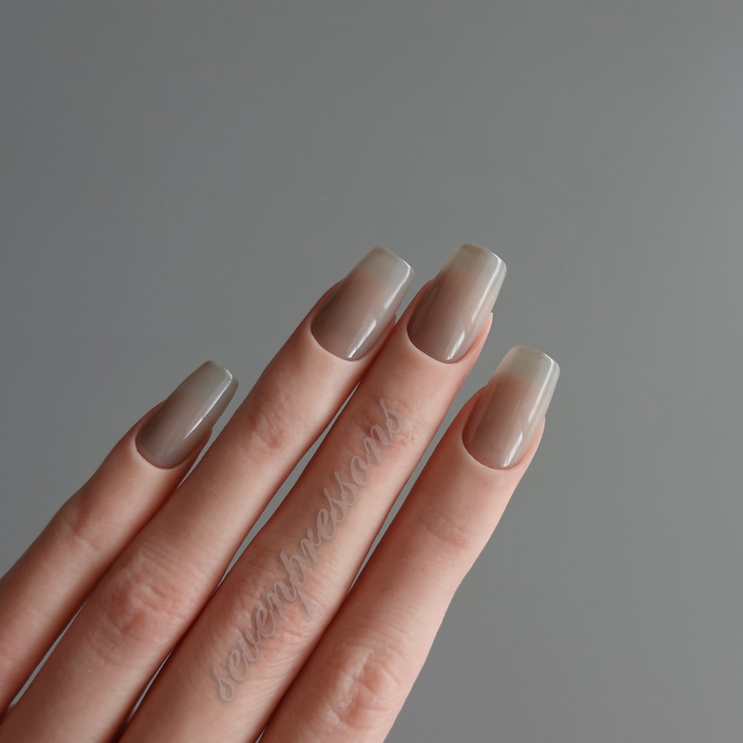 🌈 Chromatic Symphony — Mushroom Veil  2511907