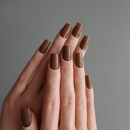 🌈 Chromatic Symphony — Cocoa Mirage  2511918