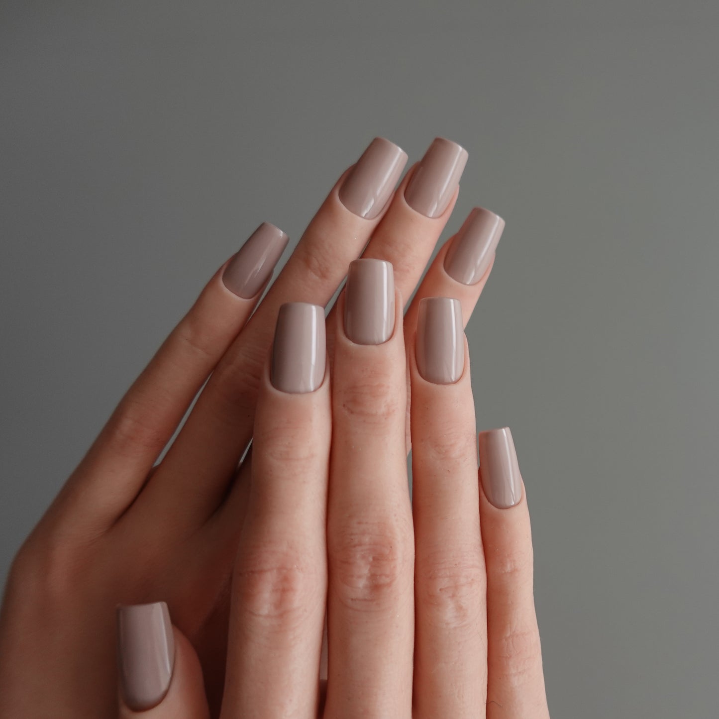 🌈 Chromatic Symphony — Milk Tea Veil  2511920