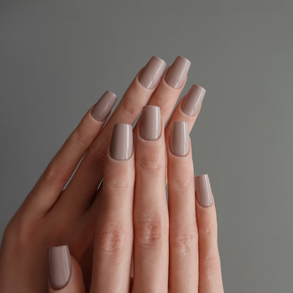 🌈 Chromatic Symphony — Milk Tea Veil  2511920