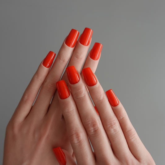 🌈 Chromatic Symphony — Sunset Ember  2511928