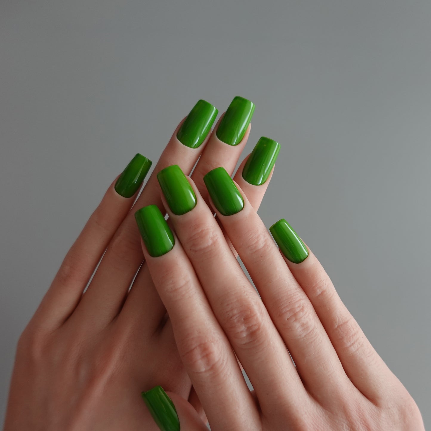 🌈 Chromatic Symphony — Verdant Pulse  2511931