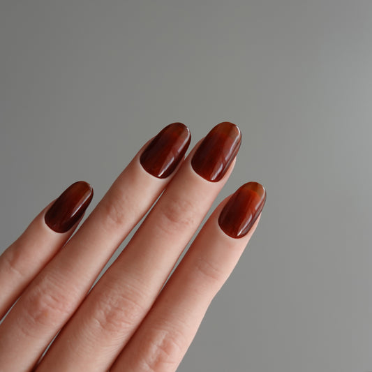 🌈 Chromatic Symphony — Amberwood Ember  2511939