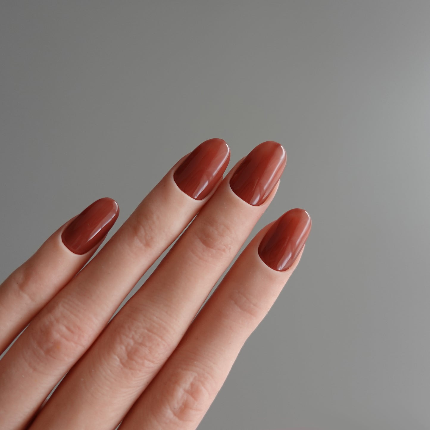 🌈 Chromatic Symphony — Cinnamon Veil  2511942