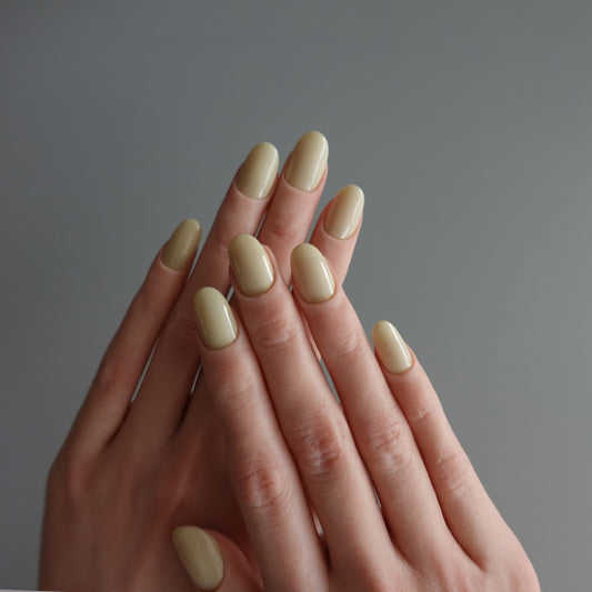 🌈 Chromatic Symphony — Vanilla Dusk  2511965