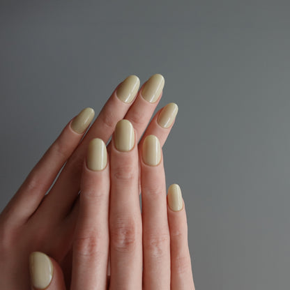 🌈 Chromatic Symphony — Vanilla Dusk  2511965