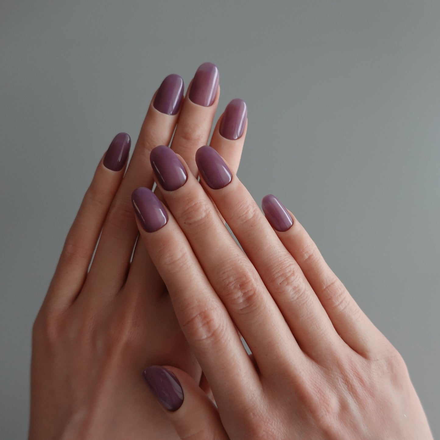 🌈 Chromatic Symphony — Mauve Whisper  2511966