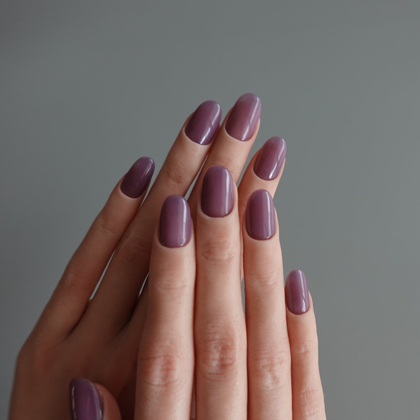 🌈 Chromatic Symphony — Mauve Whisper  2511966