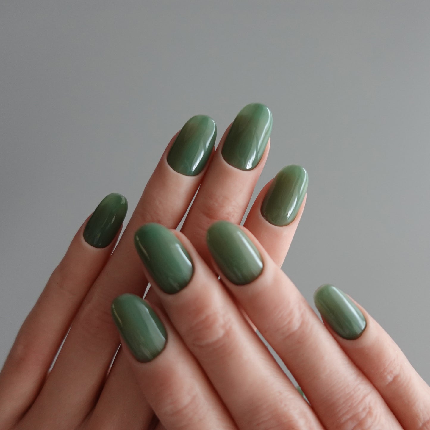 🌈 Chromatic Symphony — Misty Forest  2511969