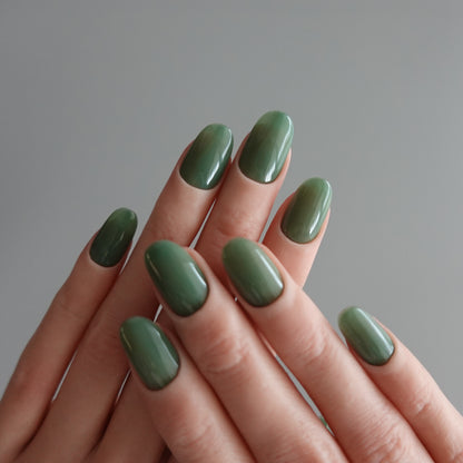 🌈 Chromatic Symphony — Misty Forest  2511969