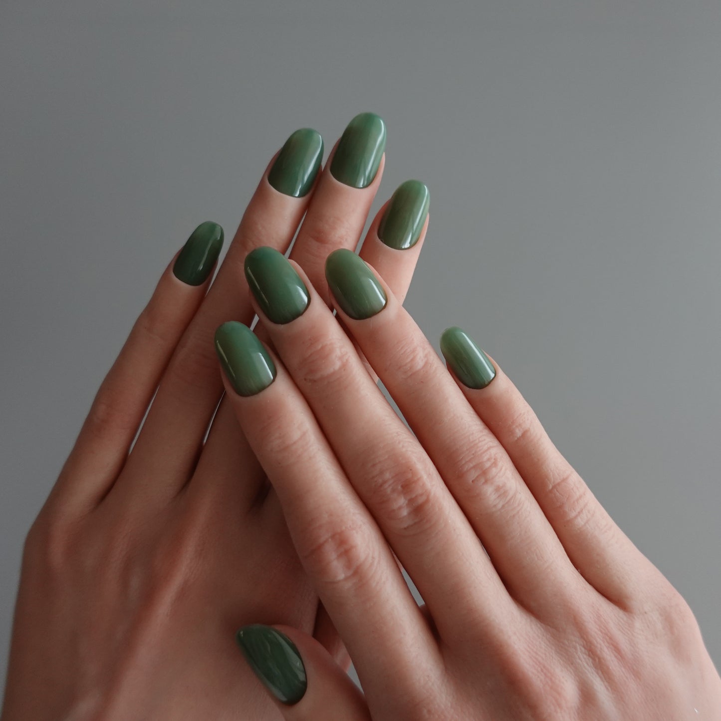 🌈 Chromatic Symphony — Misty Forest  2511969