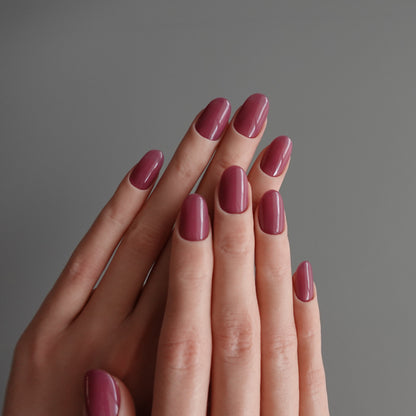 🌈 Chromatic Symphony — Vintage Berry  2511970