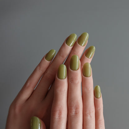 🌈 Chromatic Symphony — Olive Mist  2511972