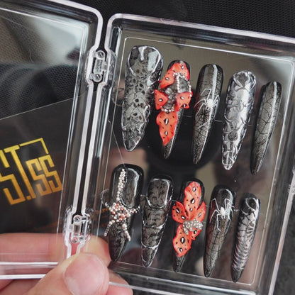 🕷️ Widow’s Web  2509113